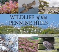 Cover image for Wildlife of the Pennine Hills: Moorland : Limestone : Grassland : Woodland : Blanket Bog : Upland Heath