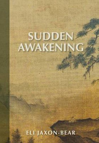 Cover image for Sudden Awakening