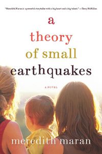 Cover image for Theory of Small Earthquakes