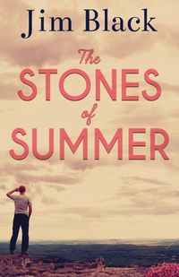 Cover image for The Stones of Summer