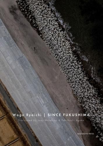 Cover image for Since Fukushima