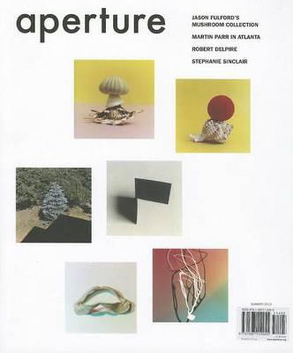Cover image for Aperture 207