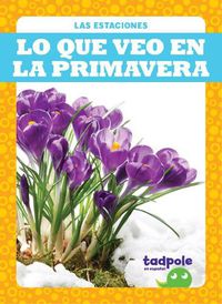 Cover image for Lo Que Veo En La Primavera (What I See in Spring)