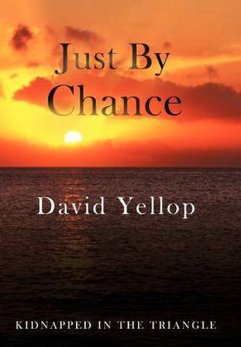 Cover image for Just by Chance