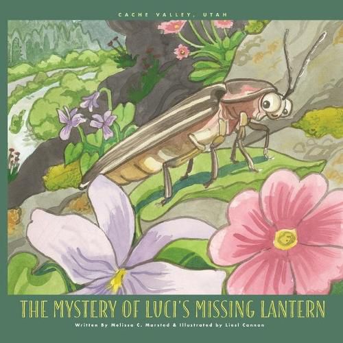 Cover image for The Mystery of Luci's Missing Lantern