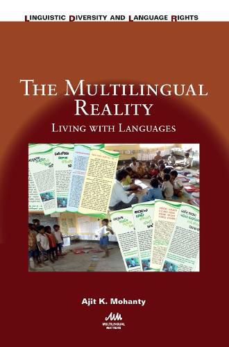 Cover image for The Multilingual Reality: Living with Languages