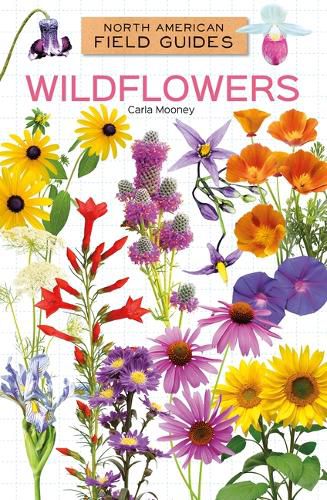 Cover image for Wildflowers