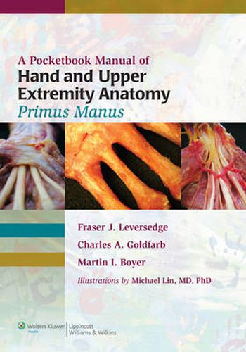 Cover image for A Pocketbook Manual of Hand and Upper Extremity Anatomy: Primus Manus