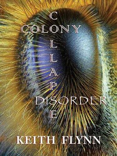 Cover image for Colony Collapse Disorder