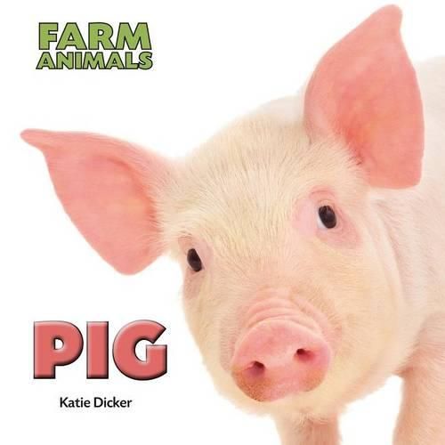 Cover image for Pig