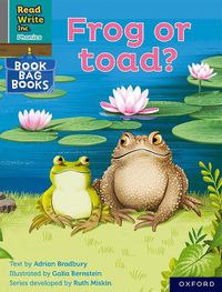 Cover image for Read Write Inc. Phonics: Frog or toad? (Grey Set 7 Book Bag Book 7)