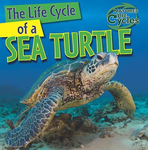 Cover image for The Life Cycle of a Sea Turtle