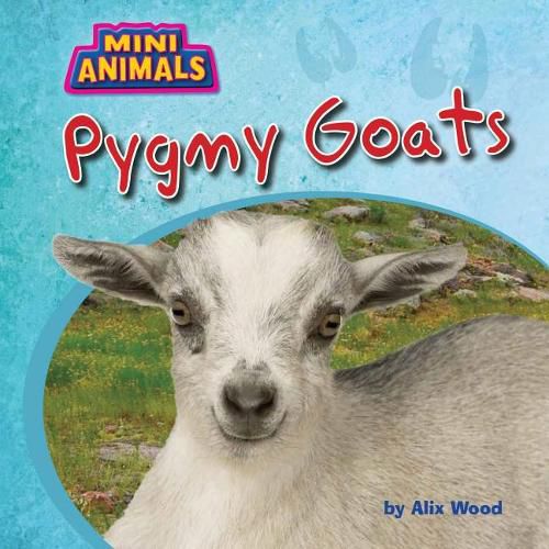 Cover image for Pygmy Goats