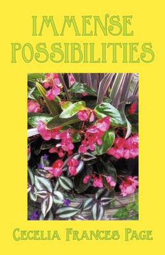Cover image for Immense Possibilities