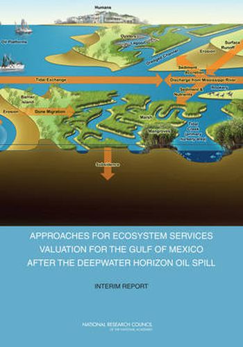 Approaches for Ecosystem Services Valuation for the Gulf of Mexico After the Deepwater Horizon Oil Spill: Interim Report