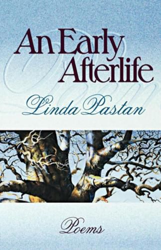 Cover image for An Early Afterlife: Poems