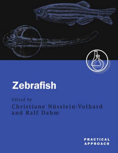 Cover image for Zebrafish