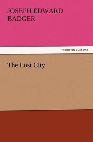 Cover image for The Lost City