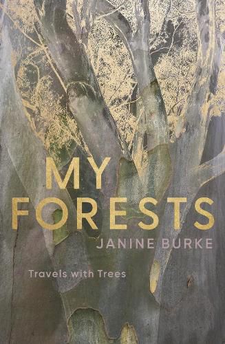 Cover image for My Forests: Travels with Trees