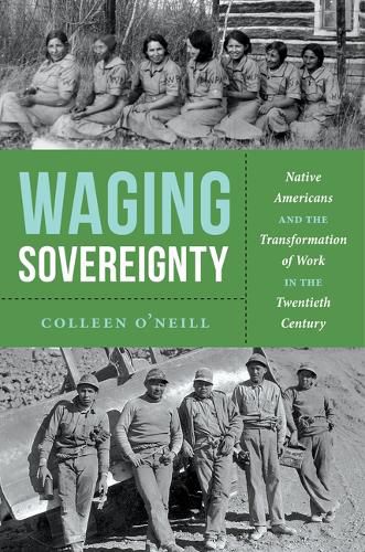 Cover image for Waging Sovereignty