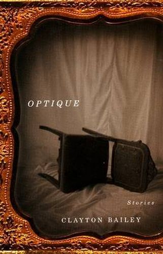 Cover image for Optique: Stories