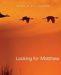 Cover image for Looking for Matthew