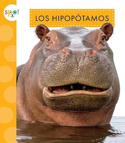 Cover image for Los Hipopotamos