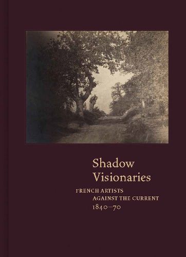 Cover image for Shadow Visionaries