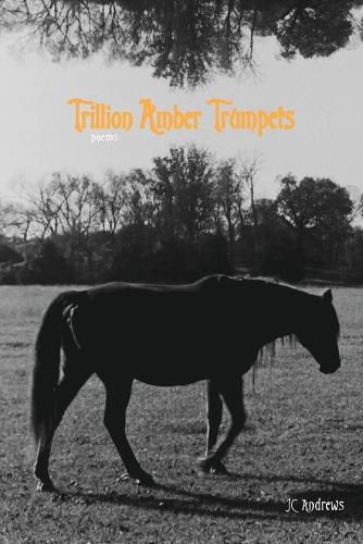 Cover image for Trillion Amber Trumpets