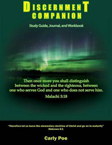 Cover image for Discernment Companion