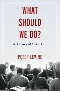 Cover image for What Should We Do?: A Theory of Civic Life