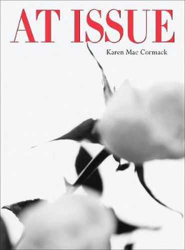 Cover image for At Issue