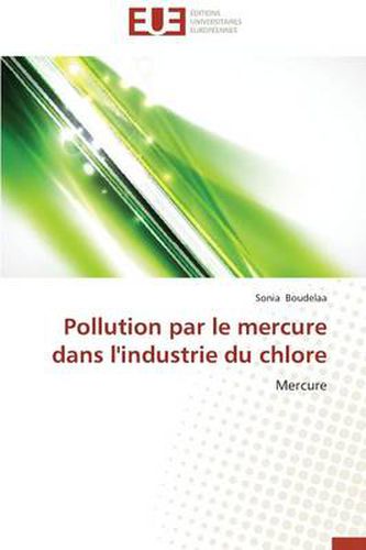 Cover image for Pollution Par Le Mercure Dans l'Industrie Du Chlore