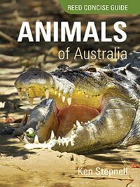 Cover image for Animals of Australia