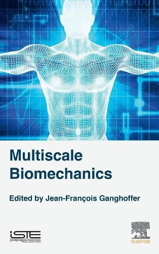 Cover image for Multiscale Biomechanics