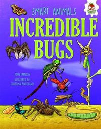 Cover image for Incredible Bugs: Bee Dancers, Ant Armies and Stalking Spiders