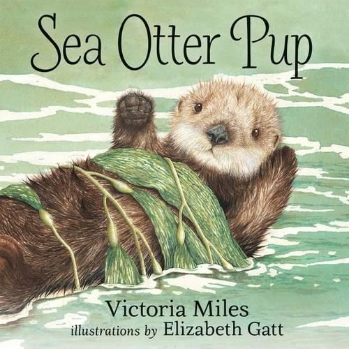 Cover image for Sea Otter Pup