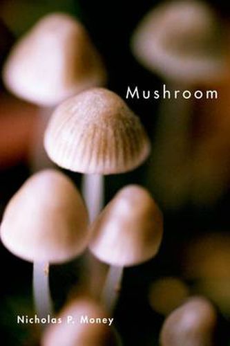 Cover image for Mushroom