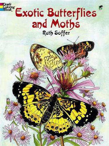 Cover image for Exotic Butterflies and Moths CB