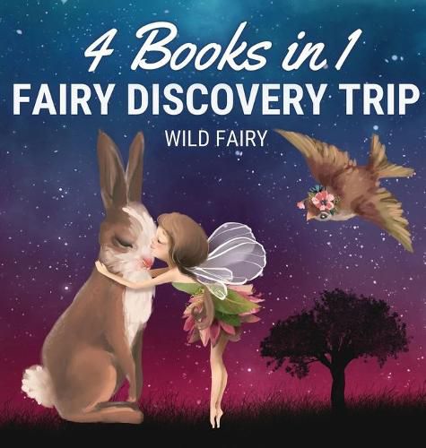 Cover image for Fairy Discovery Trip: 4 Books in 1