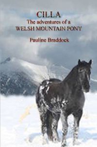 Cover image for Cilla the Adventures of a Welsh Mountain Pony