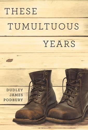 Cover image for These Tumultuous Years