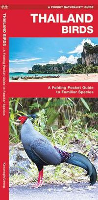 Cover image for Thailand Birds: A Folding Pocket Guide to Familiar Species