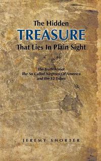 Cover image for The Hidden Treasure That Lies in Plain Sight