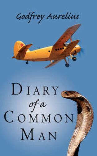 Cover image for Diary of a Common Man
