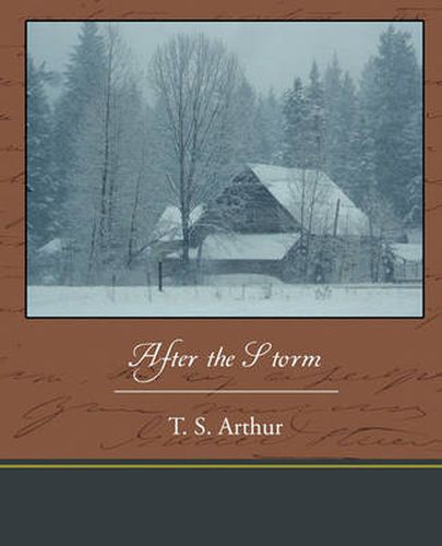 Cover image for After the Storm