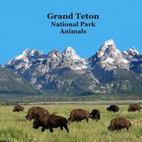 Cover image for Grand Teton National Park Animals Kids Book