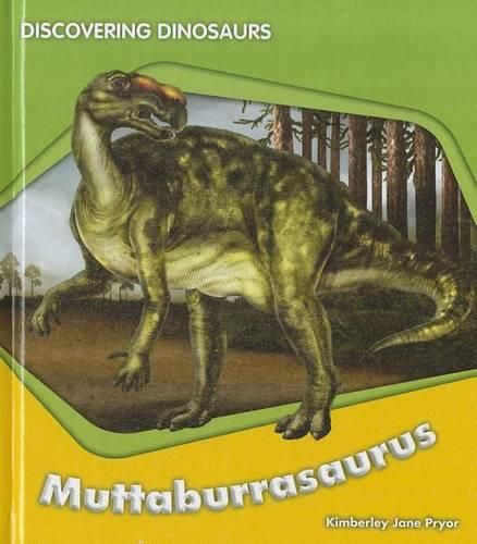 Cover image for Us Din Muttaburrasaurus (Mc)