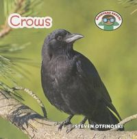 Cover image for Crows