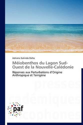 Cover image for Meiobenthos Du Lagon Sud-Ouest de la Nouvelle-Caledonie